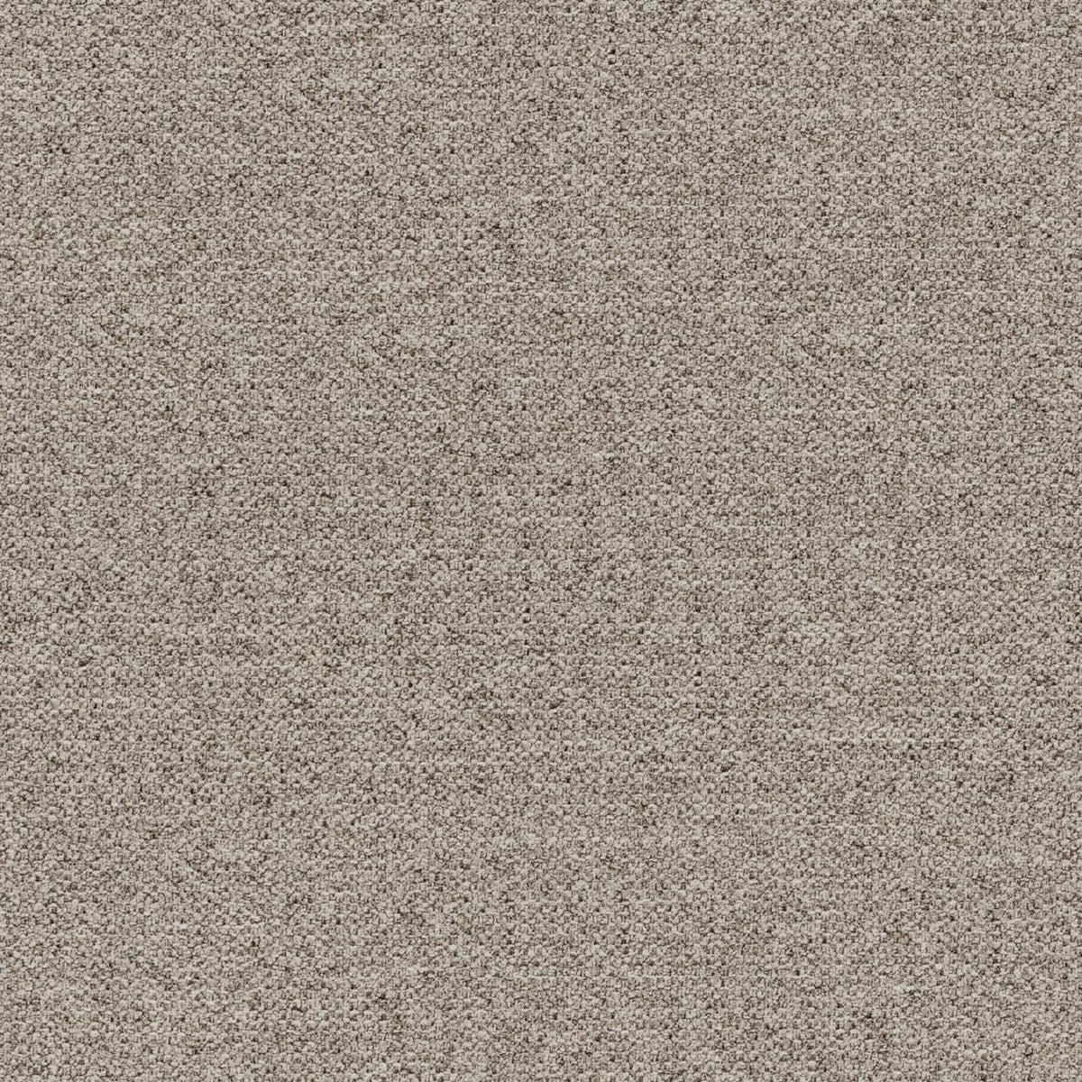 Dining Chair Darlene - Beige