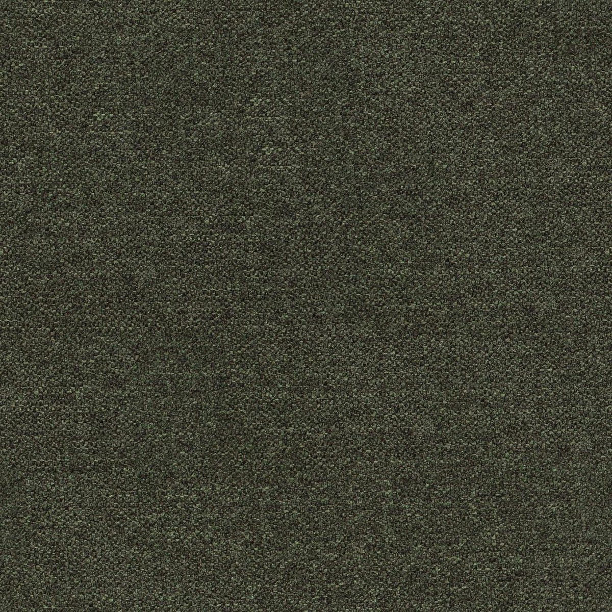 Dining Chair Darlene - Green