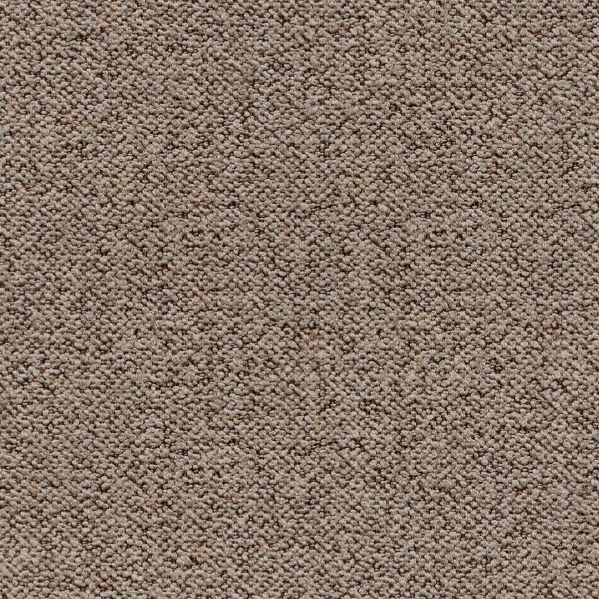 Dining Chair Leo - Beige